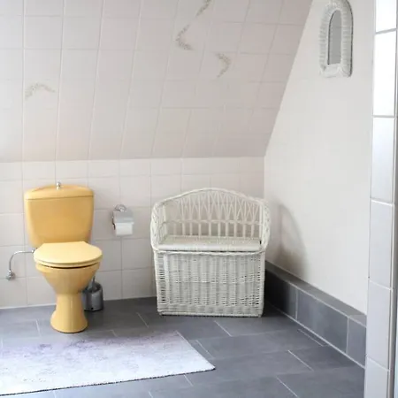 Hollaender Flair פרידריכשטאדט